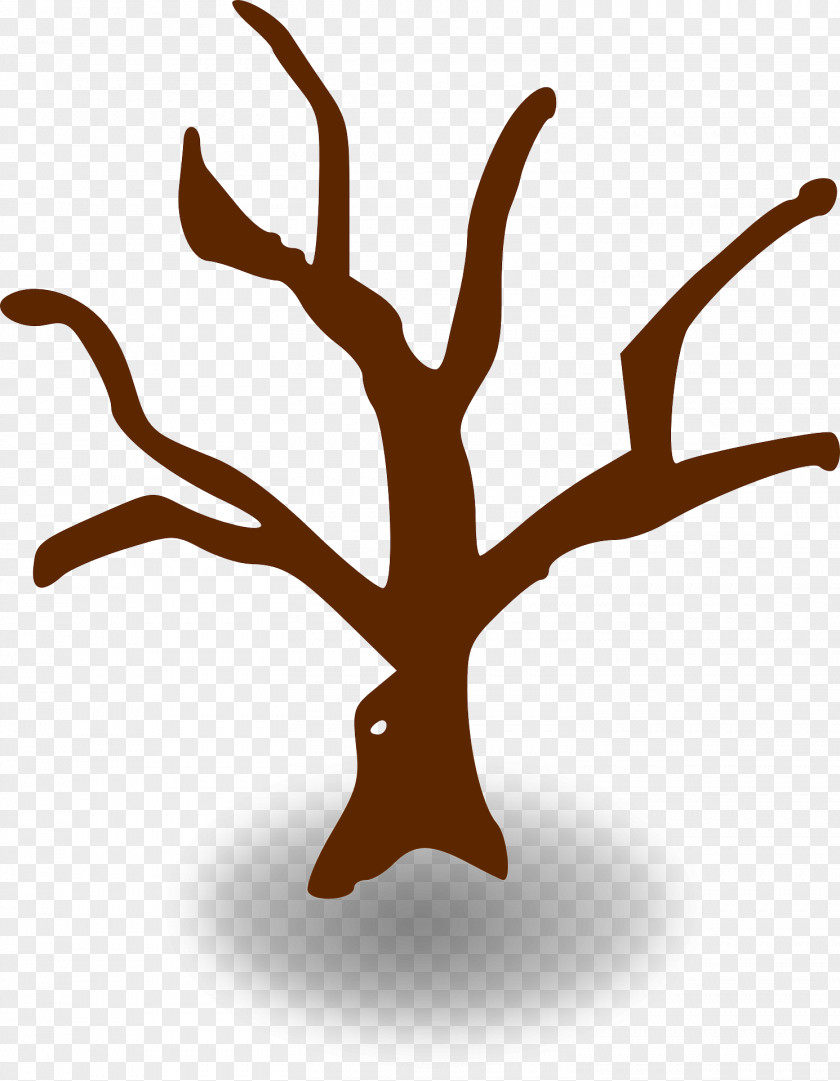 Tree Of Life Branch Clip Art PNG