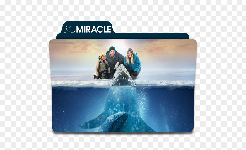 Actor Adam Carlson Rachel Kramer Film Big Miracle PNG