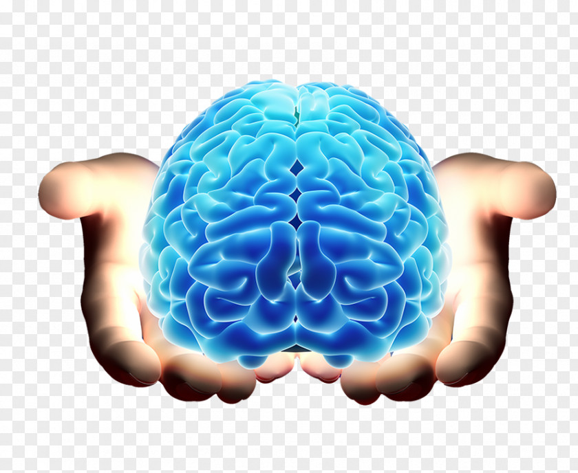 Brain Neurology Neurological Disorder Doctor Of Medicine PNG