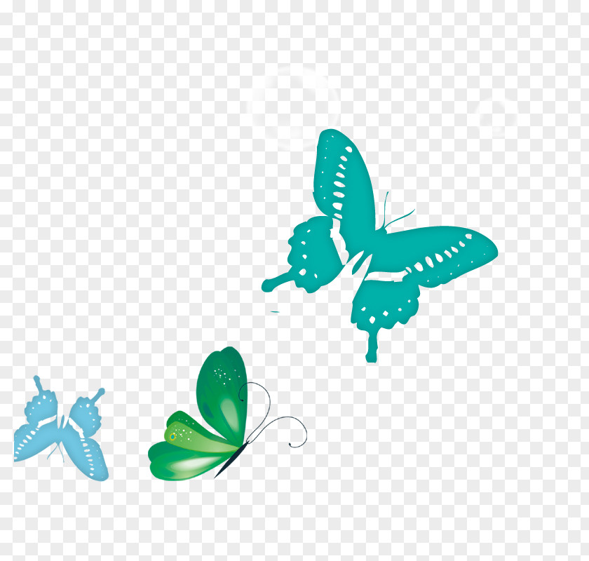 Butterfly Download PNG