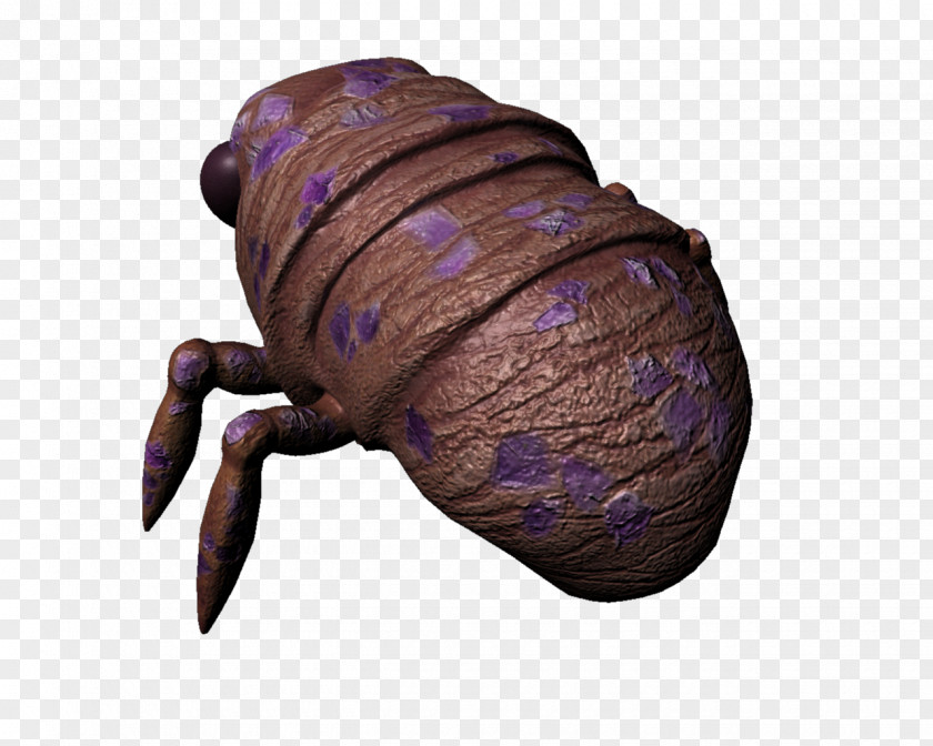 Insect Texture Mapping UV YouTube Walk Cycle PNG