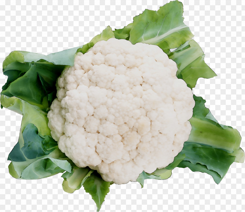 Cauliflower Illustration Royalty-free Stock Photography Euclidean Vector PNG