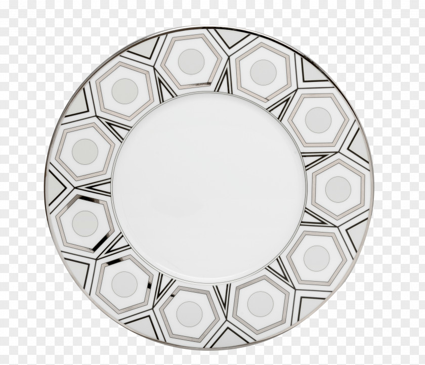 Dinner Plate Haviland & Co. Porcelain Limoges Tableware PNG