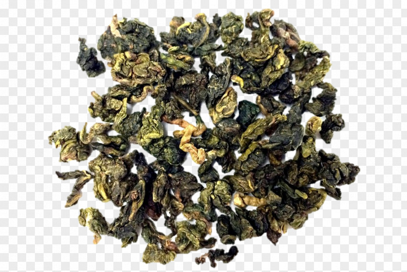 Tea Shop Brochure Oolong Earl Grey Tieguanyin Nilgiri PNG