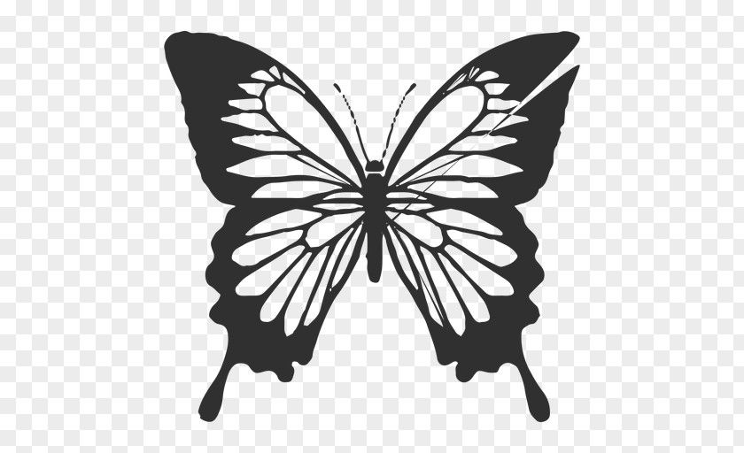 Ulysses Cartoon Butterfly Vector Graphics Royalty-free Illustration Stock Photography PNG