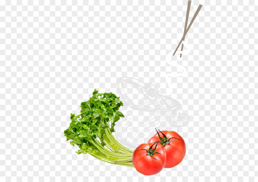 Beef Noodles Tomato Vegetarian Cuisine Food Leaf Vegetable Garnish PNG