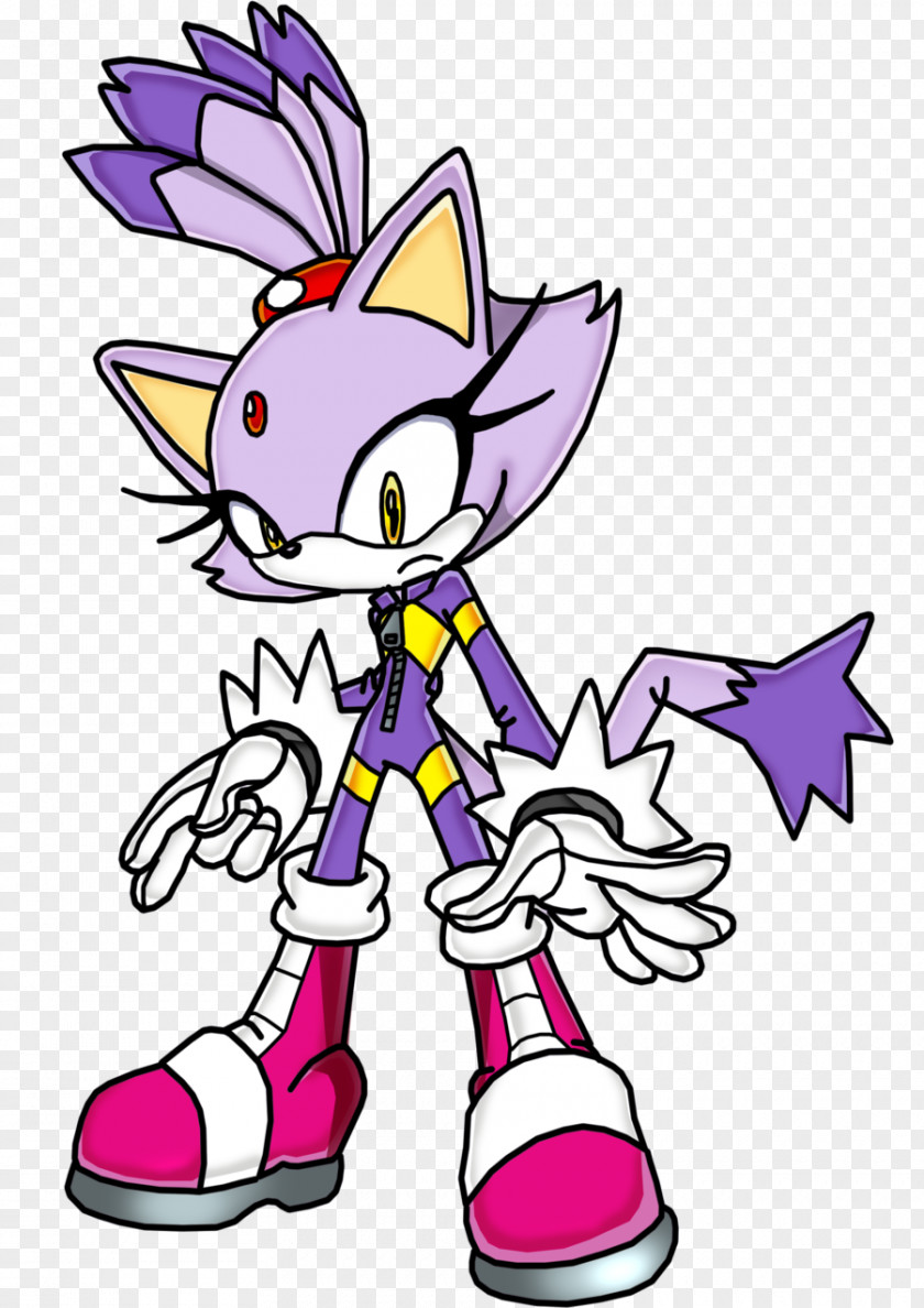 Blaze Sonic Riders: Zero Gravity Free Riders The Cat PNG