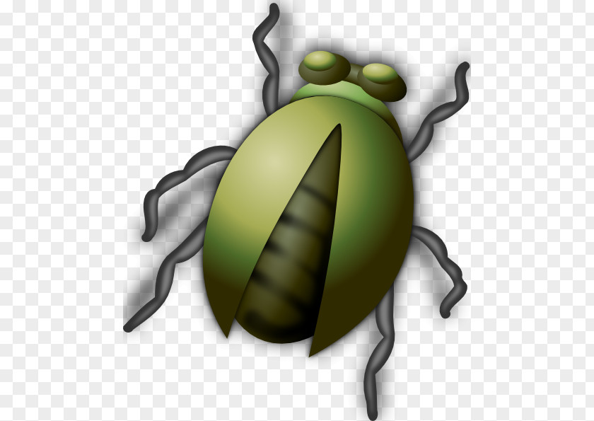 Buddy Cliparts Beetle Free Content Clip Art PNG