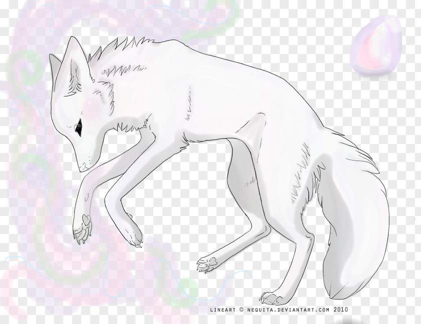 Cat Canidae Horse Sketch PNG