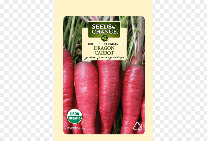 Daucus Carota Radish Carrot Food Seed Root Vegetables PNG