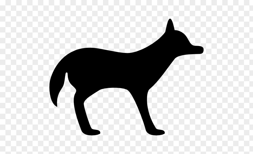 Dog Coyote Cat PNG