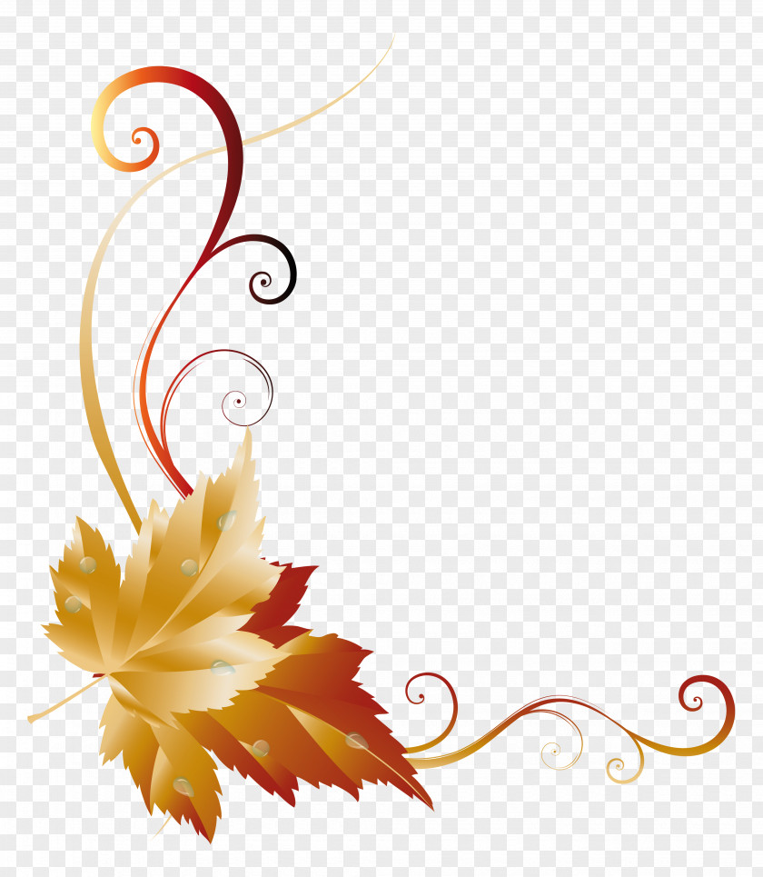 Fall Transparent Leaf Decor Picture Autumn Color Clip Art PNG