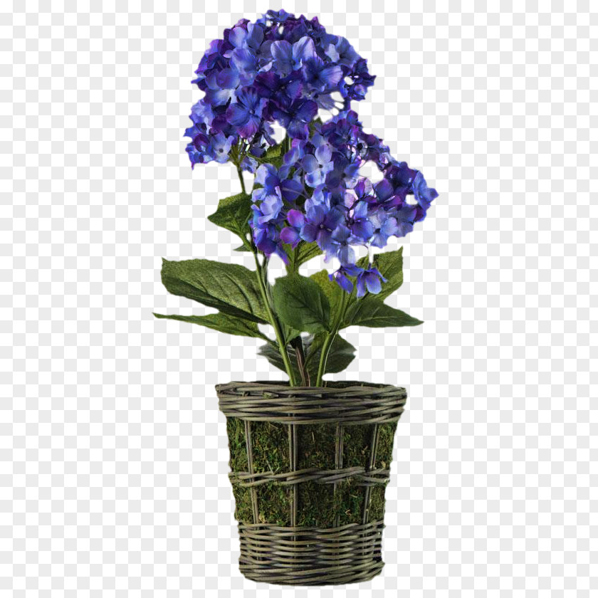 Flower Hydrangea Bellflower Flowerpot Cut Flowers PNG