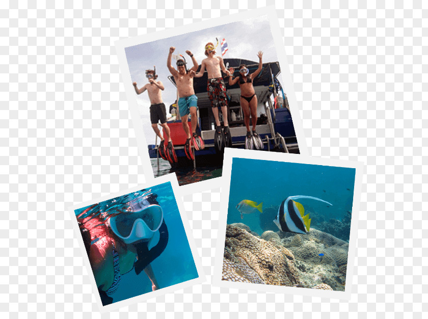 Pattaya Scuba Adventures Thailand Dive Centre: PADI 5-Star IDC Diving Professional Association Of Instructors Adventure PNG