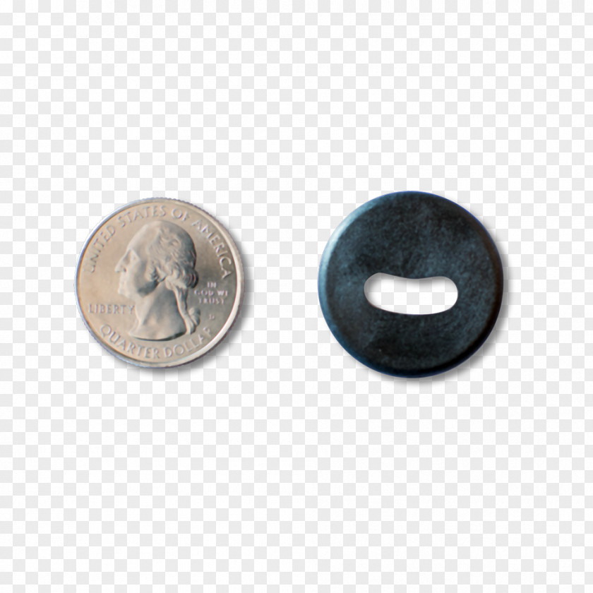 Sewing Button Barnes & Noble PNG