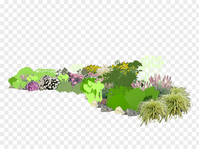 Tree Shrub Herb Aquarium PNG