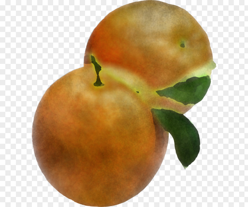 Apple Citrus PNG