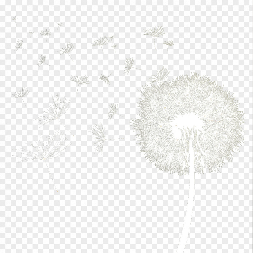 Cute Dandelion White Black Pattern PNG