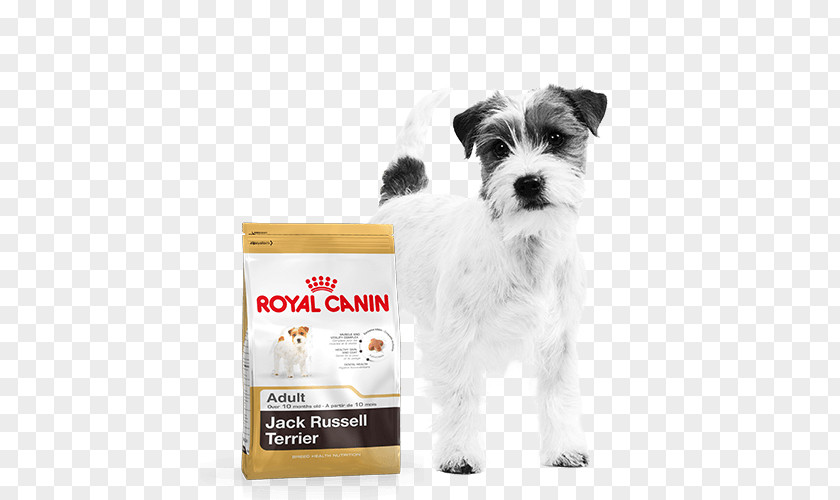 Jack Russell Terrier Cat Food Puppy Dog Royal Canin PNG