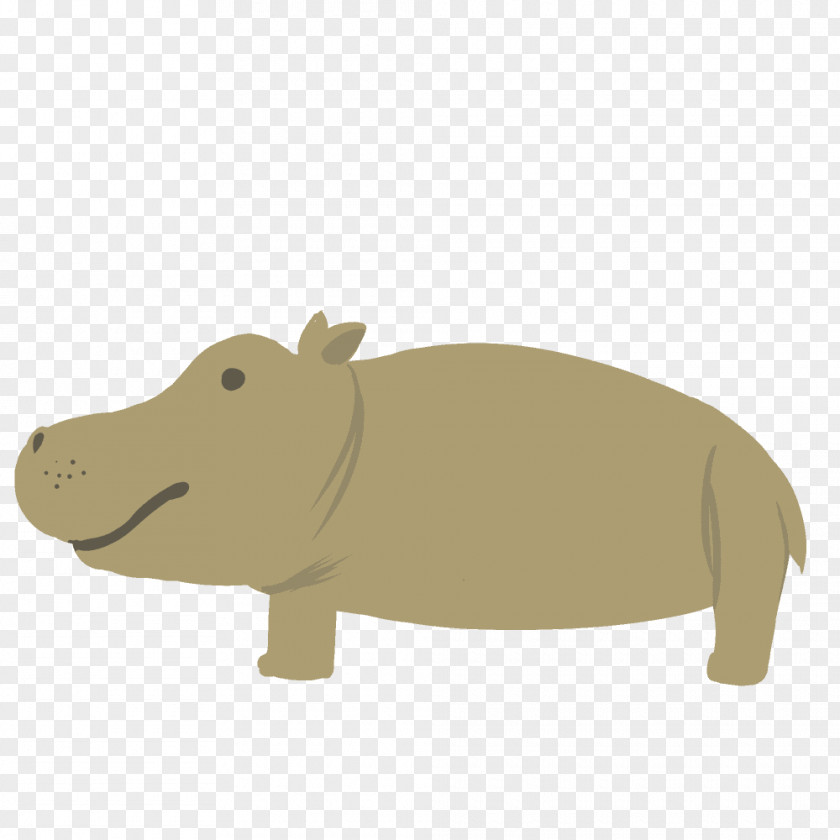 Pig Fauna Snout PNG