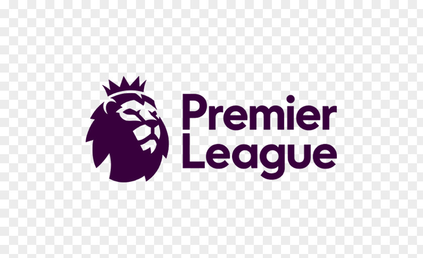 Premier League Golden Boot Liverpool F.C. 2016–17 Huddersfield Town A.F.C. Leicester City Sport PNG