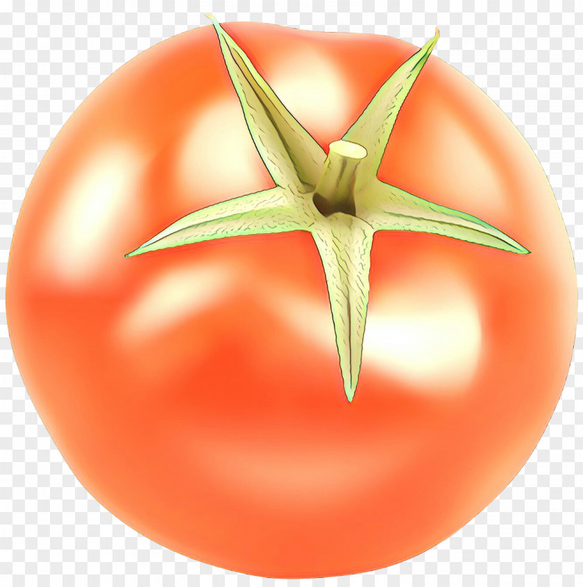 Vegetable Nightshade Family Tomato Cartoon PNG
