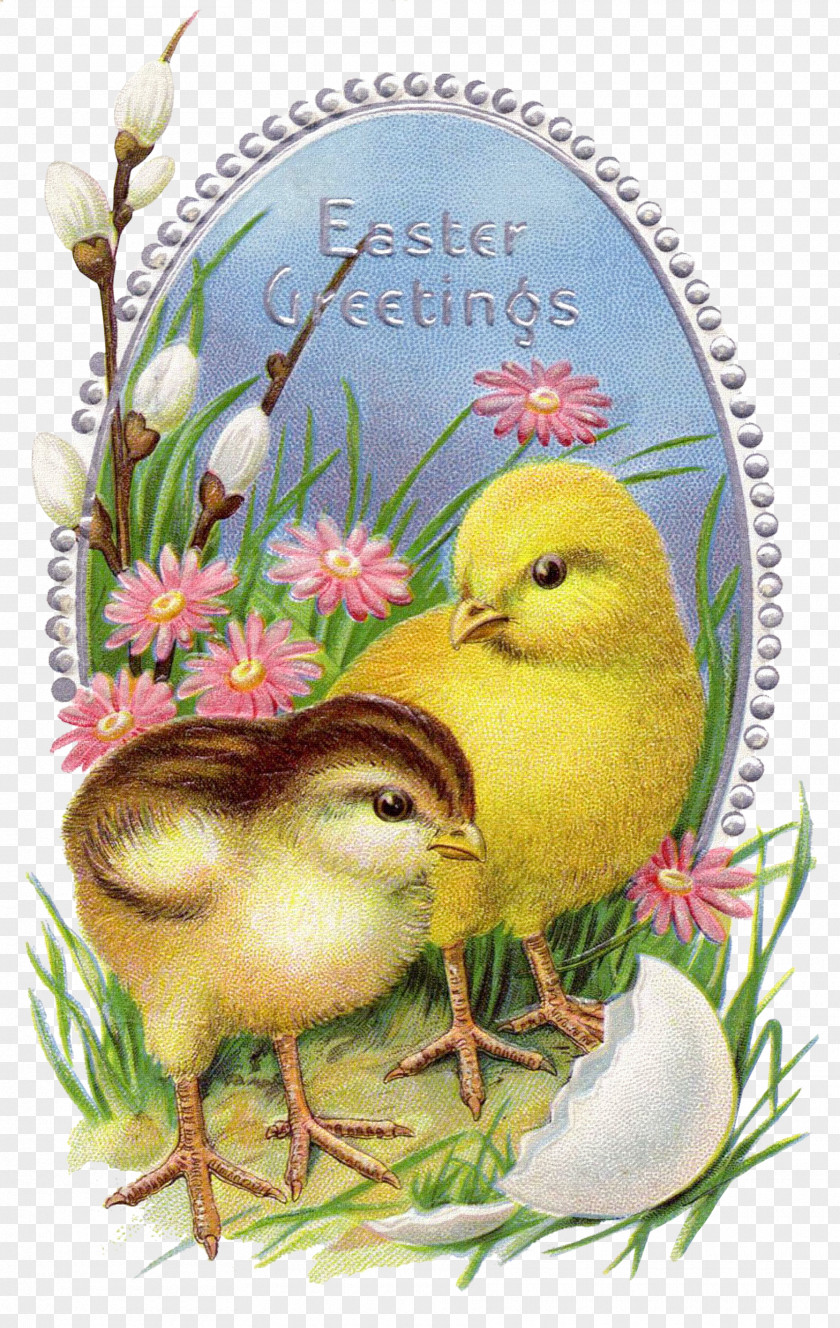 Easter Bunny Paper Wedding Invitation Postcard PNG