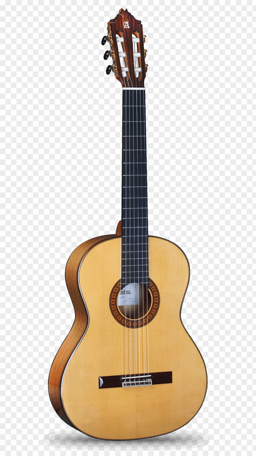 Flamenco Twelve-string Guitar Martin LX1 Little Acoustic C. F. & Company PNG
