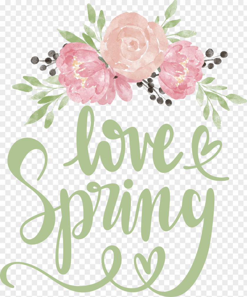 Floral Design PNG