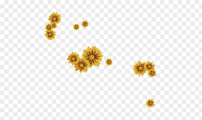 Flower Garland Chrysanthemum Pot Marigold PNG