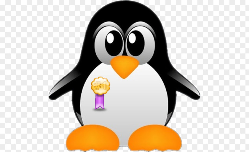 Linux Distribution Ubuntu Operating Systems Tux PNG