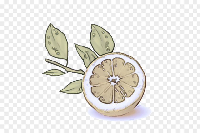 Flower Fruit Leaf Lemon Citrus Plant PNG
