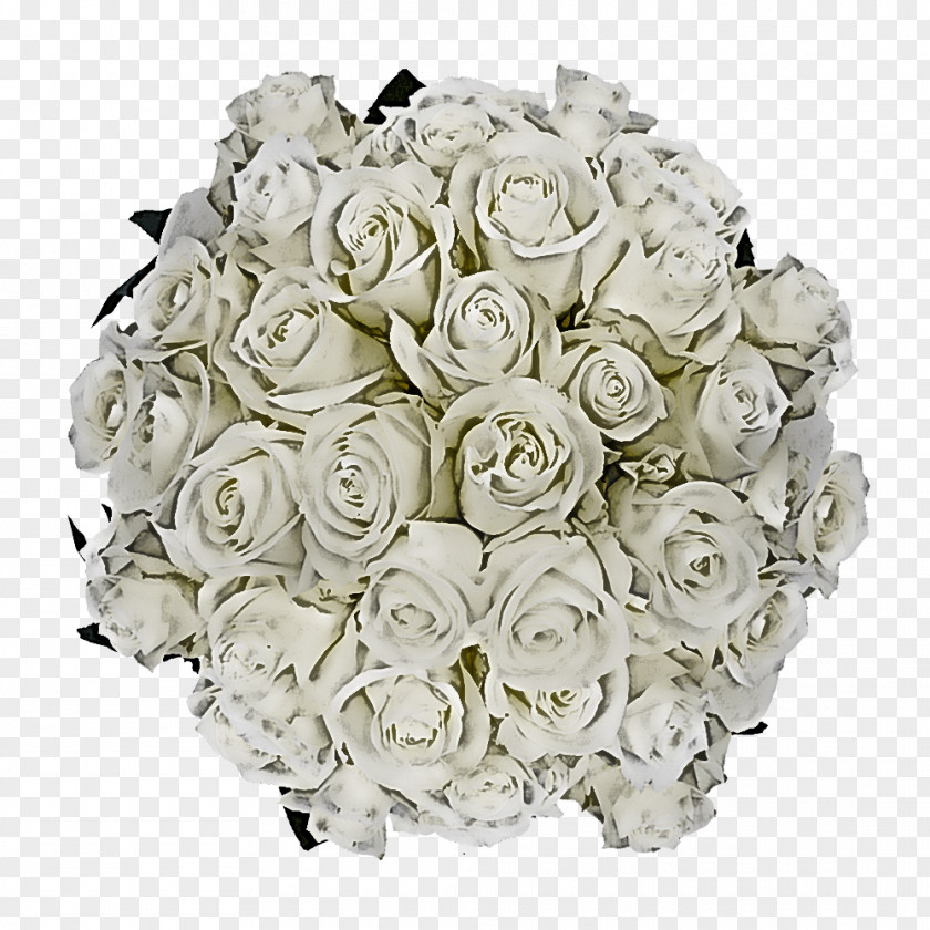 Garden Roses PNG