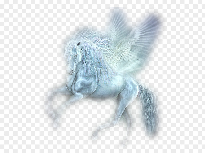 Unicorn Flying Horses Pegasus PNG