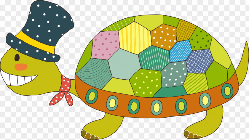 Vector Turtle Tortoise Illustration PNG