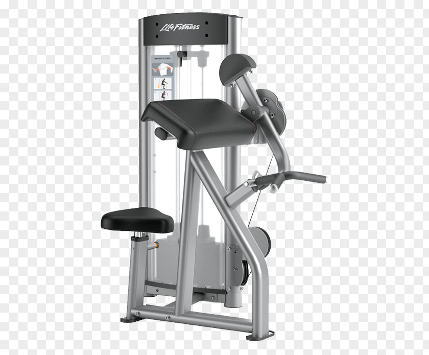 Biceps Curl Exercise Equipment Fitness Centre Smith Machine PNG