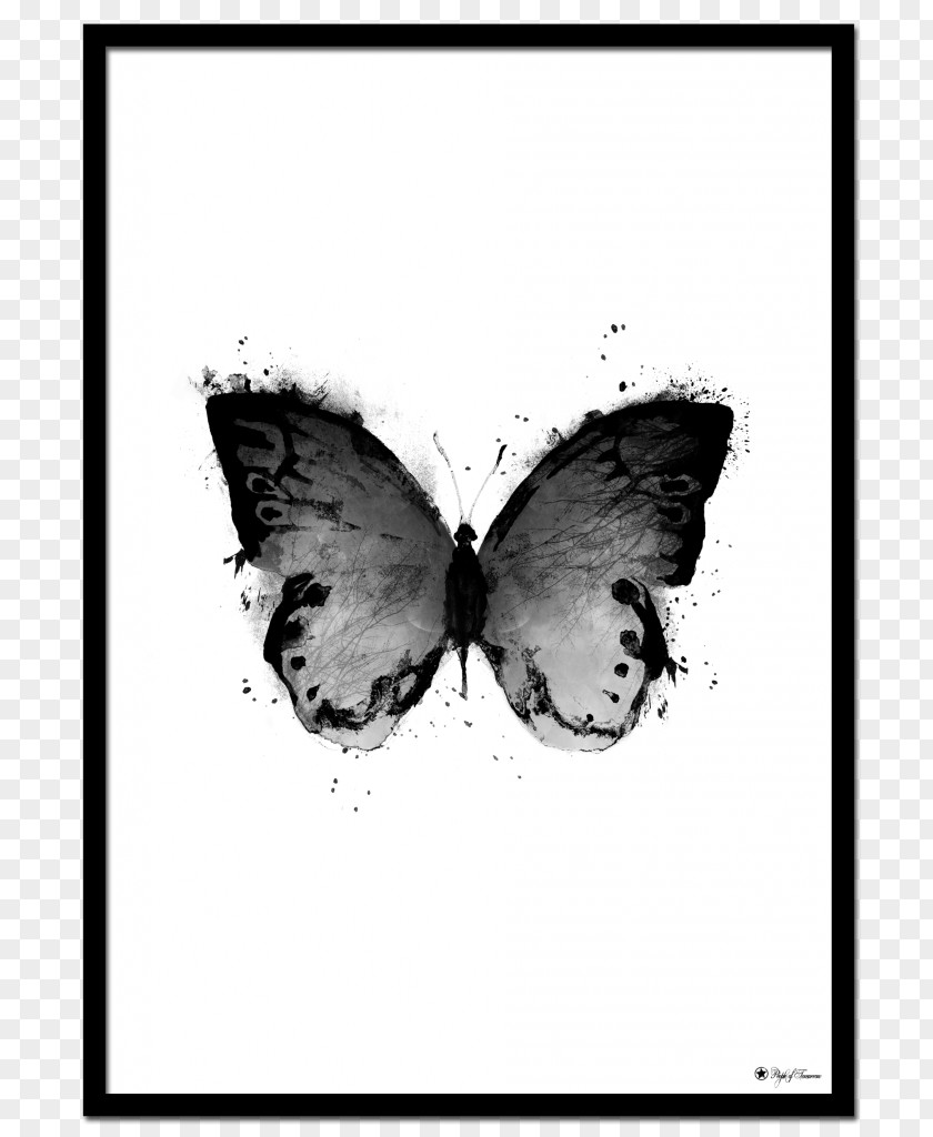 Black Posters Film Poster Design Art Butterfly PNG