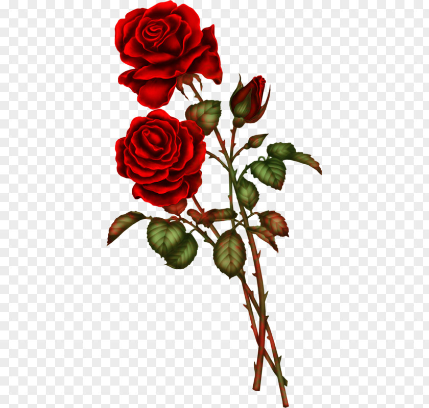 Flower Artificial Rose Floral Design PNG