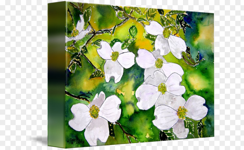 Flower Flowering Dogwood Canvas Print Tree PNG
