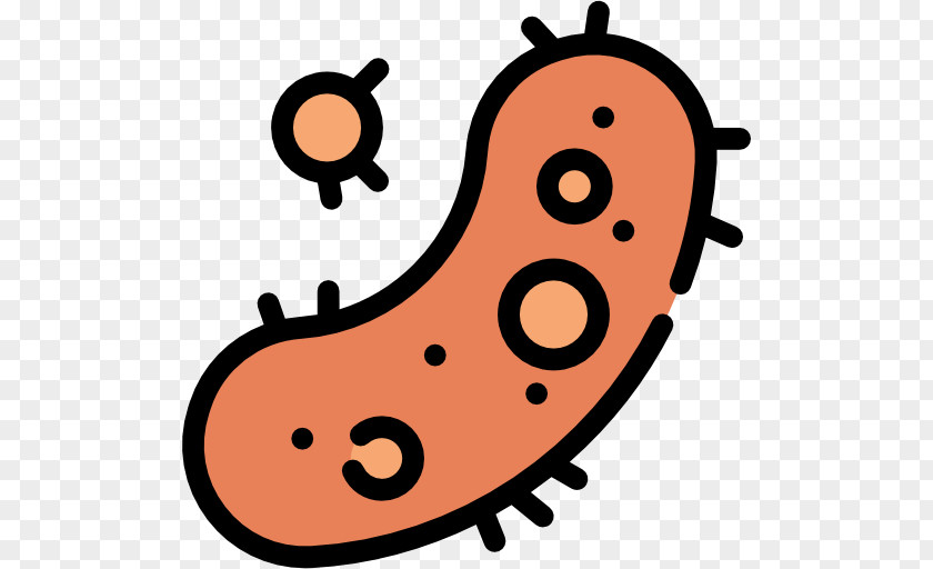 Bacteria Science Clip Art PNG