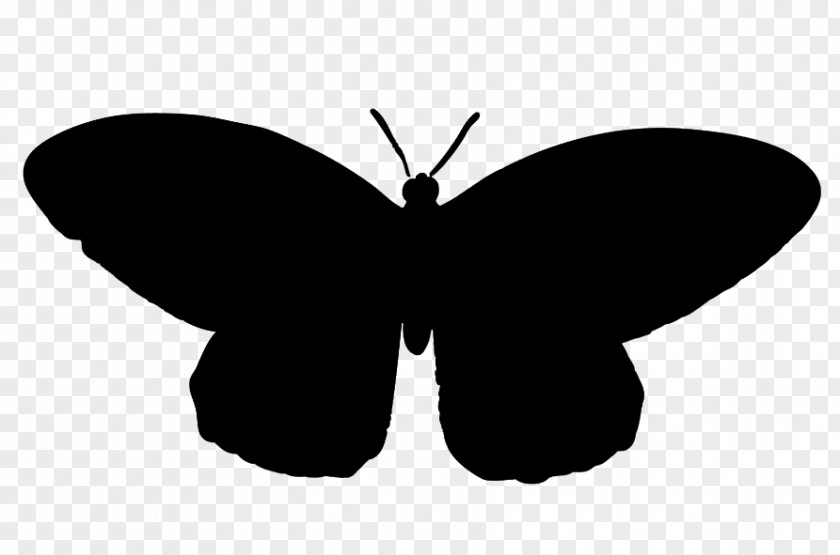 Brush-footed Butterflies Moth Clip Art Silhouette M. Butterfly PNG