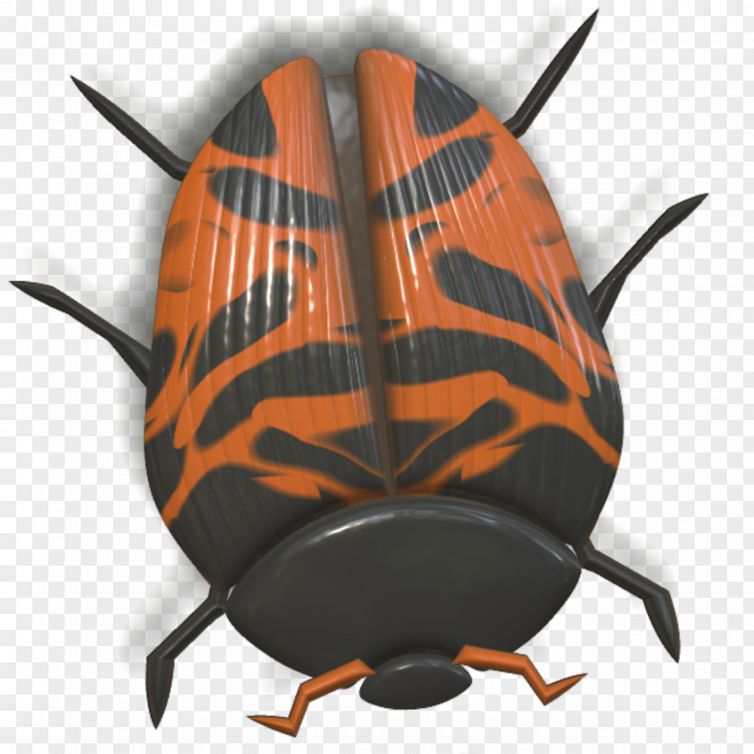 Orange Beetle Pixabay PNG