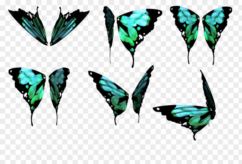 Buterfly Butterfly Wing DeviantArt Color PNG