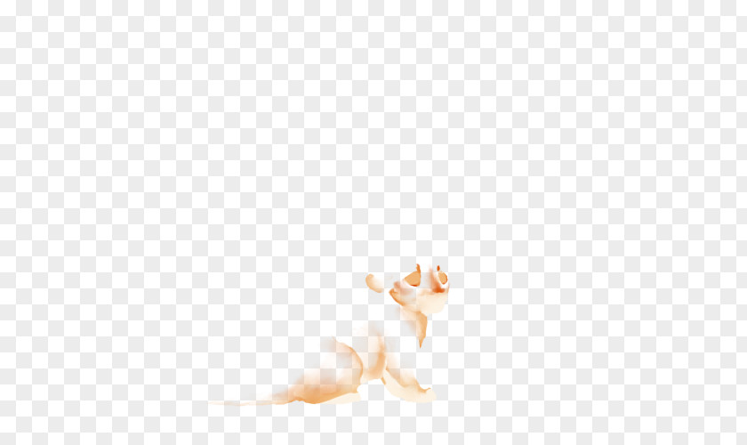Cat Dog Desktop Wallpaper Computer Canidae PNG
