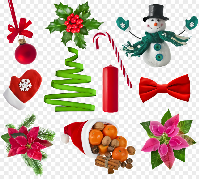 Christmas Decoration Holly PNG