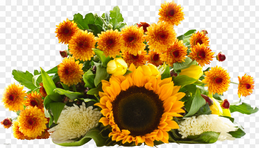Chrysanthemum Common Sunflower Flower Bouquet Desktop Wallpaper PNG