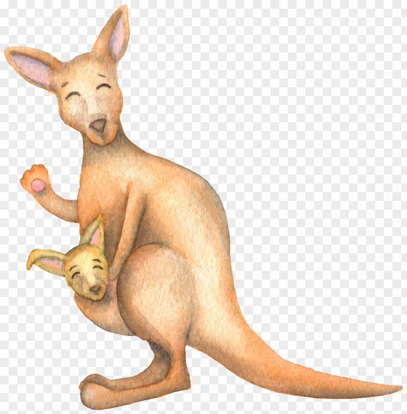 Cute Smiling Kangaroo Image Cartoon Graphic Design PNG