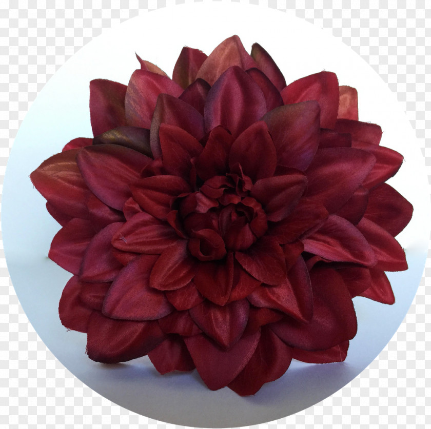 Flower Dahlia Cut Flowers Petal Email PNG