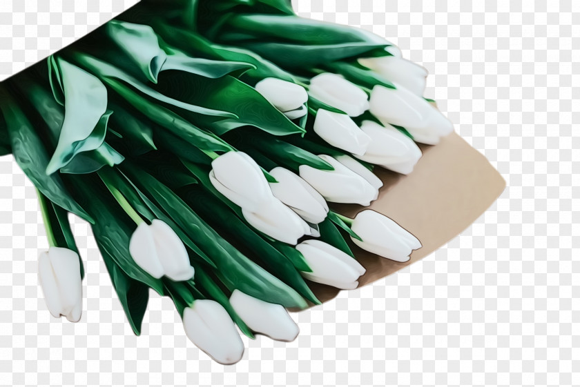 Hand Plant White Lily Flower PNG