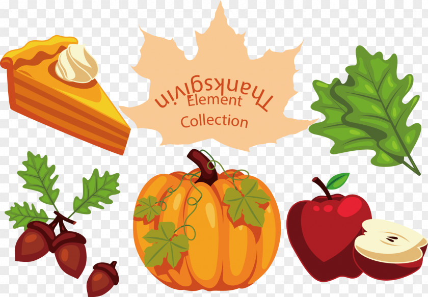Vector Painted Pumpkin And Hazelnut Leaves Thanksgiving Turkey Download PNG